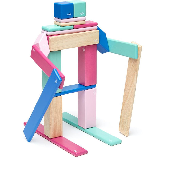 Tegu 24-Piece Magnetic Block Set - Blossom