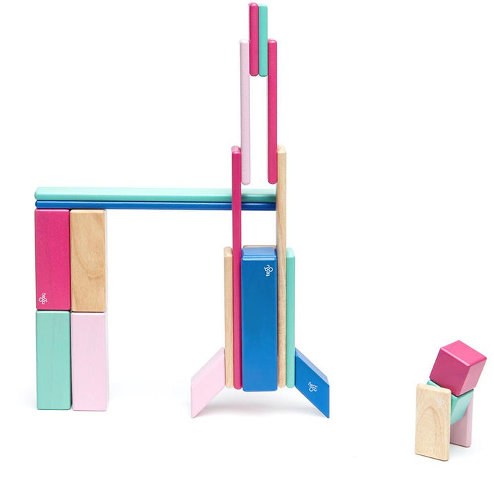 Tegu 24-Piece Magnetic Block Set - Blossom