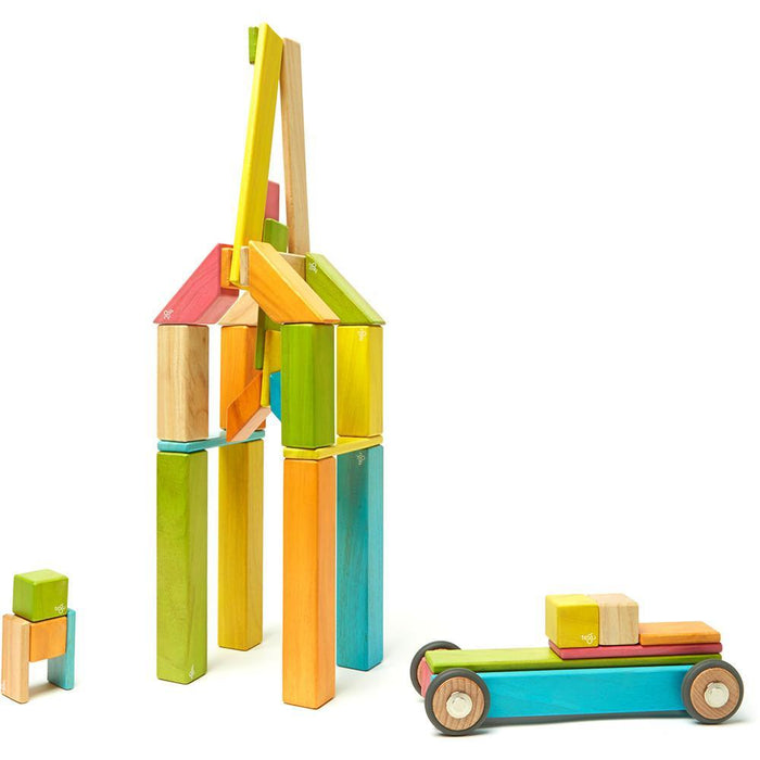 Tegu 42-Piece Magnetic Block Set - Tints