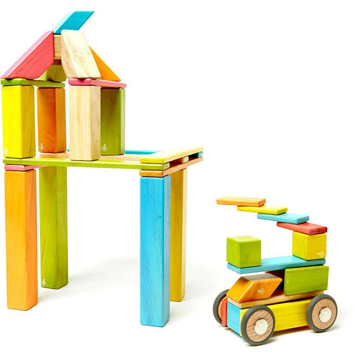 Tegu 42-Piece Magnetic Block Set - Tints