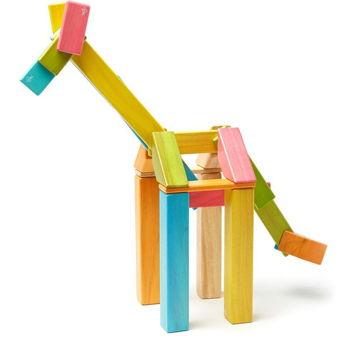 Tegu 42-Piece Magnetic Block Set - Tints