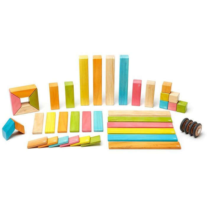 Tegu 42-Piece Magnetic Block Set - Tints