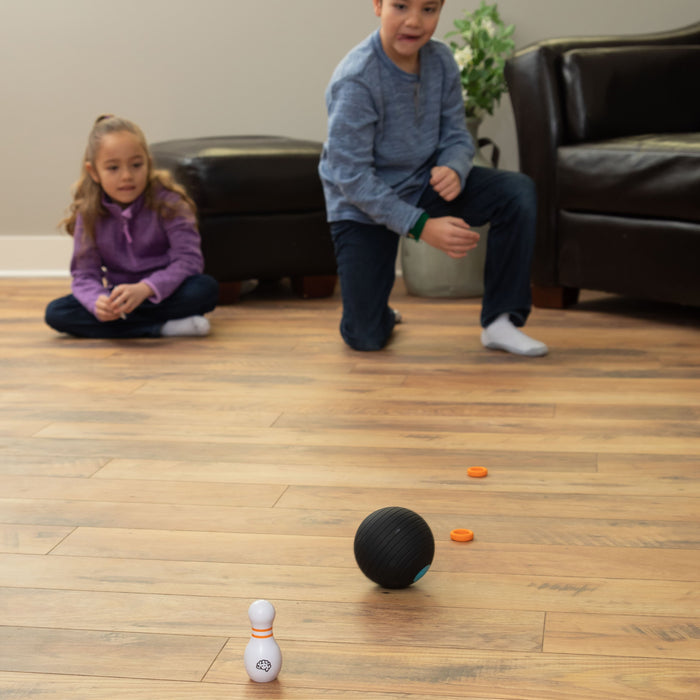 Fat Brain Toys Curve Bowl