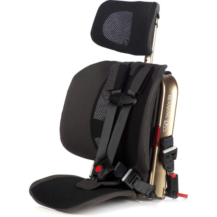 WAYB Pico Car Seat (OPEN BOX)