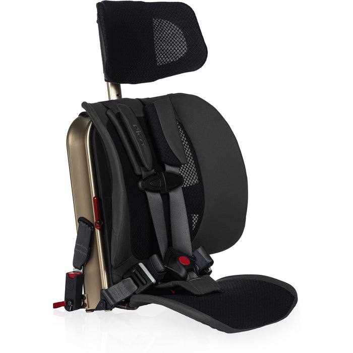 WAYB Pico Car Seat