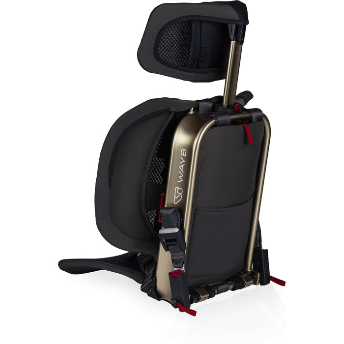 WAYB Pico Car Seat