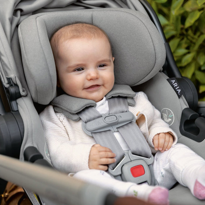 UPPAbaby Aria Lightweight Infant Car Seat