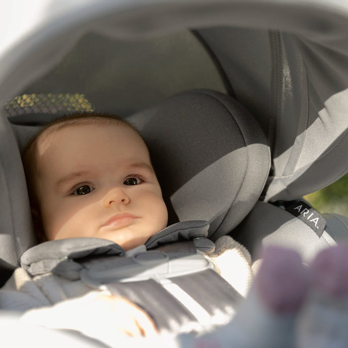 UPPAbaby Aria Lightweight Infant Car Seat