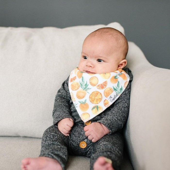 Copper Pearl Baby Bandana Bibs - Citrus