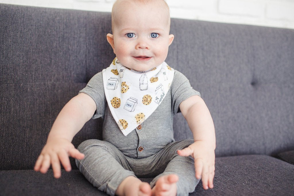 Copper Pearl Baby Bandana Bibs - Chip