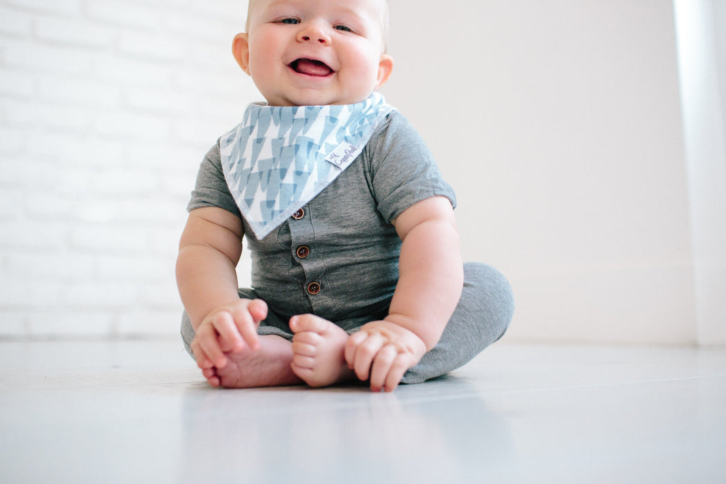 Copper Pearl Baby Bandana Bibs - Arctic