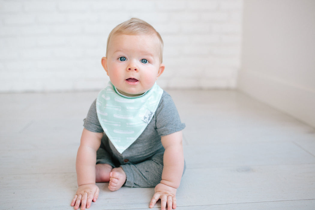 Copper Pearl Baby Bandana Bibs - Scout