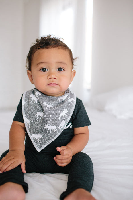 Copper Pearl Baby Bandana Bibs - Scout