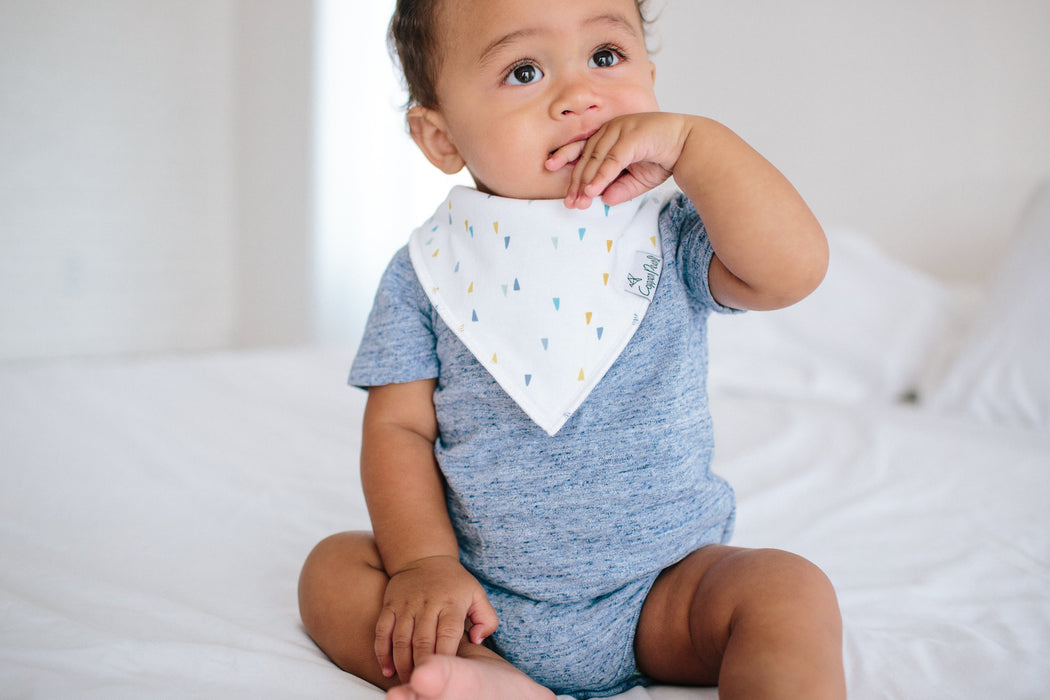 Copper Pearl Baby Bandana Bibs - Arctic