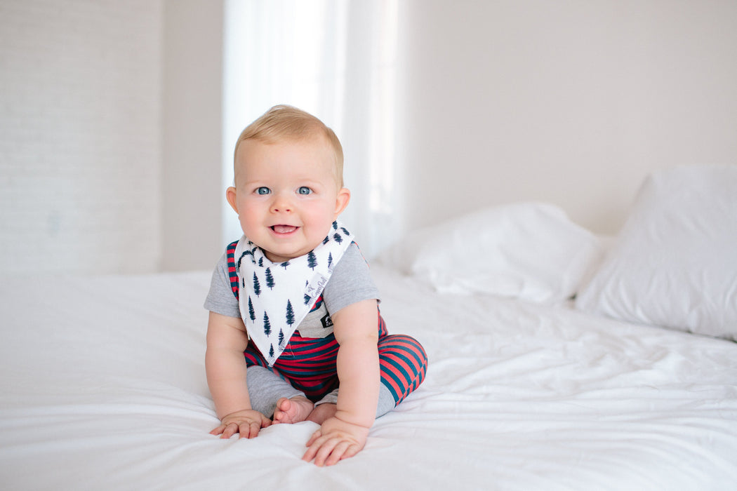 Copper Pearl Baby Bandana Bibs - Scout