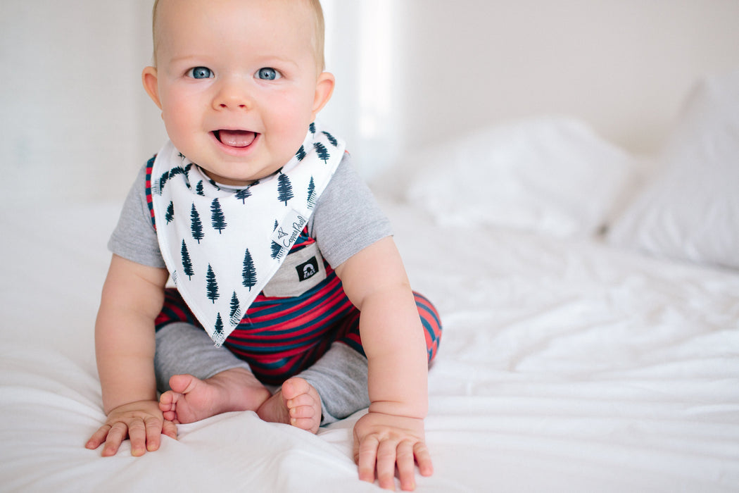 Copper Pearl Baby Bandana Bibs - Scout