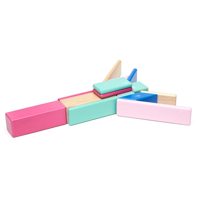 Tegu 14-Piece Magnetic Block Set - Blossom