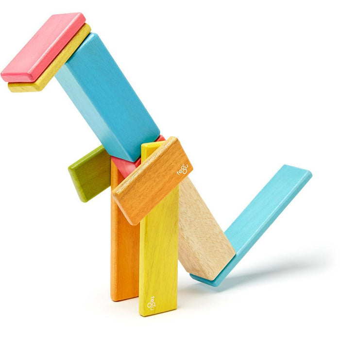 Tegu 14-Piece Magnetic Block Set - Tints