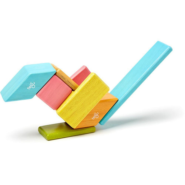 Tegu 14-Piece Magnetic Block Set - Tints