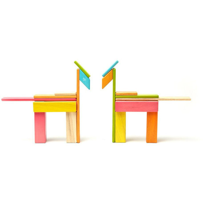 Tegu 24-Piece Magnetic Block Set - Tints