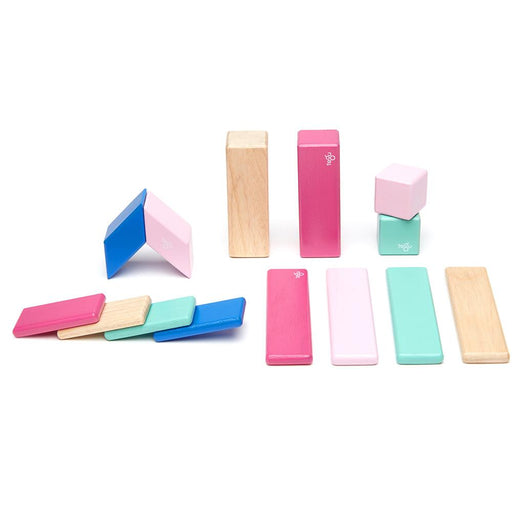 Tegu 14-Piece Magnetic Block Set - Blossom