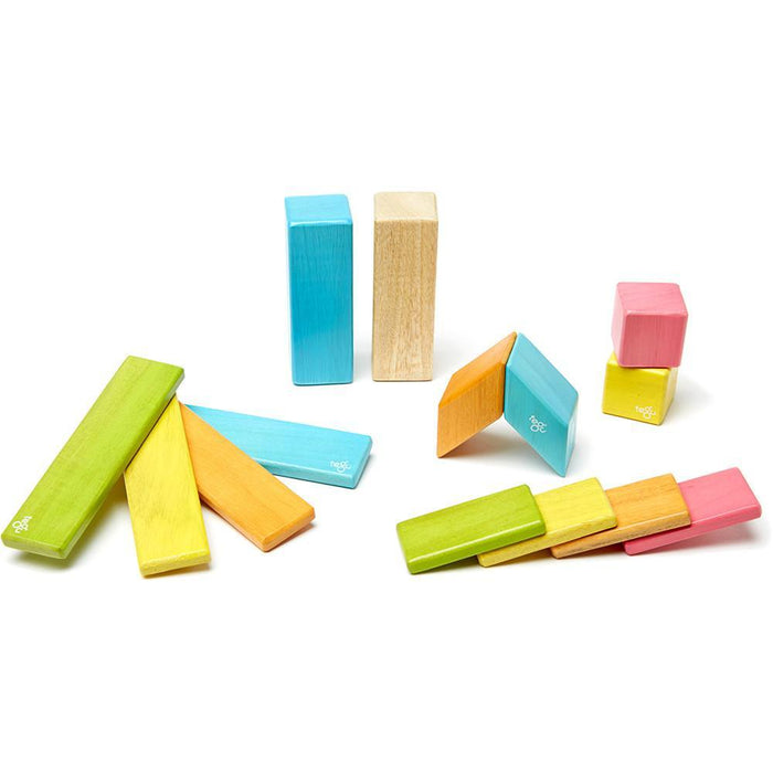 Tegu 14-Piece Magnetic Block Set - Tints