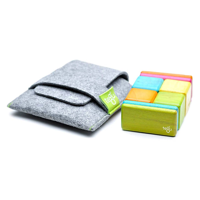 Tegu Original Pocket Pouch Tints