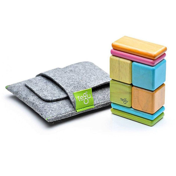 Tegu Original Pocket Pouch Tints