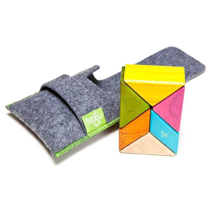 Tegu Pocket Pouch Prism Tints